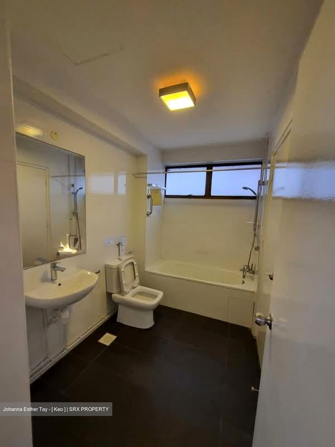 The Cairnhill (D9), Condominium #588592091